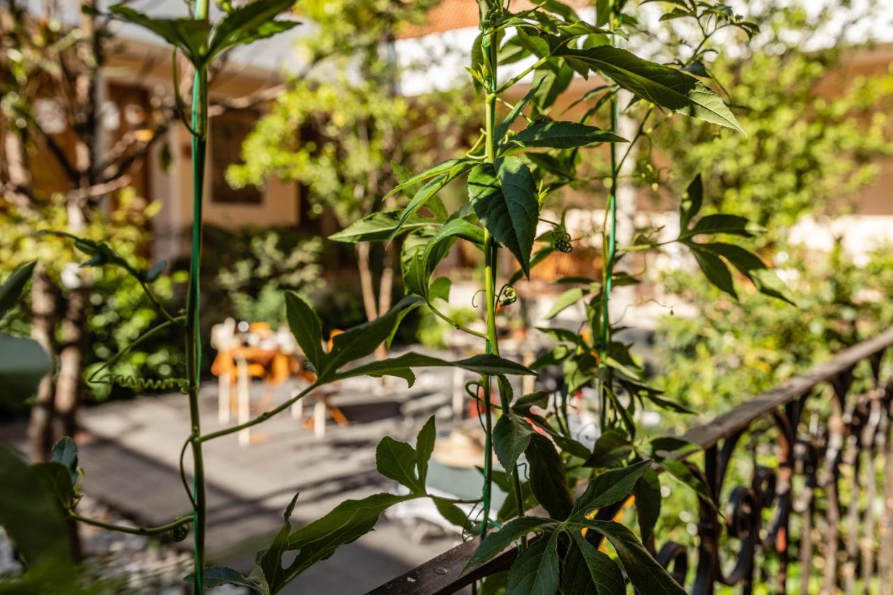 Casa Tuna Ciudad de México Exterior foto